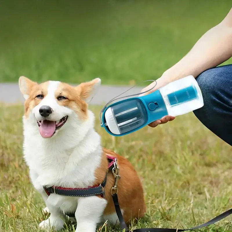3-in-1 Portable Dog Water & Snack Cup